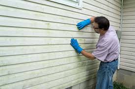 Best Historical Building Siding Restoration  in Ferndale, CA